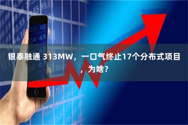 银泰融通 313MW，一口气终止17个分布式项目，为啥？