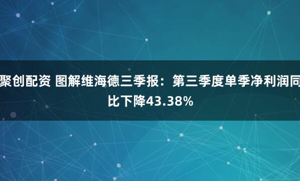 聚创配资 图解维海德三季报：第三季度单季净利润同比下降43.38%