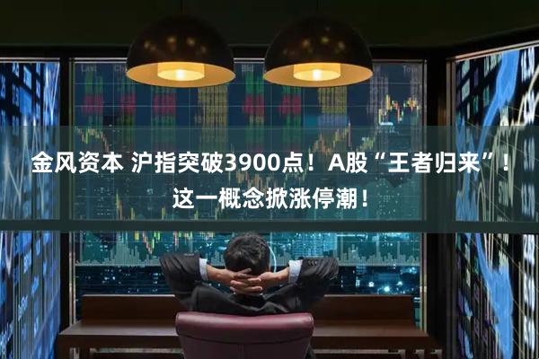 金风资本 沪指突破3900点！A股“王者归来”！这一概念掀涨停潮！